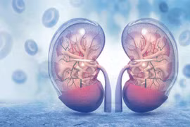 Dấu hiệu ung thư thận không nên bỏ qua