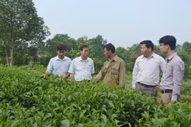 Hội Làm vườn Việt Nam phát động quyên góp ủng hộ Quỹ Văcxin phòng chống Covid-19