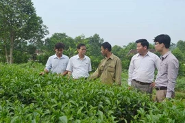 Hội Làm vườn Việt Nam phát động quyên góp ủng hộ Quỹ Văcxin phòng chống Covid-19