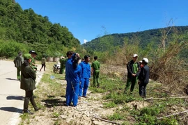 Cơ quan chức năng đưa các đối tượng thực nghiệm hiện trường phá rừng.