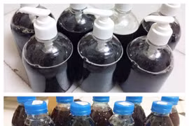 Dầu gội có nguy hiểm hay không?