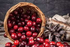 Ăn quả nam việt quất hàng ngày giúp cải thiện sức khỏe tim mạch