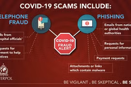 Việt - Mỹ hợp tác điều tra 3 nghi phạm lợi dụng COVID-19 lừa đảo 7.000 người Mỹ