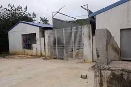 Trại lợn nghìn con "trên đầu" Nhà máy nước sông Đà xả thải đi đâu?