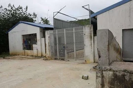 Trại lợn nghìn con "trên đầu" Nhà máy nước sông Đà xả thải đi đâu?