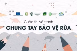 Phát động cuộc thi vẽ tranh chung tay bảo vệ rùa