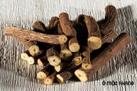 Bài thuốc trị ho từ cam thảo dễ áp dụng