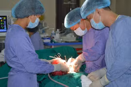 Đi khám họng phát hiện... u xơ tử cung 3kg