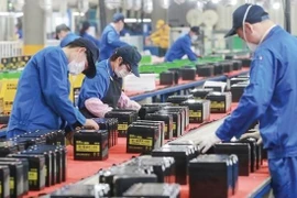 Chương trình phục hồi và phát triển gồm có chính sách tài khoá, chính sách tiền tệ và các chính sách khác.