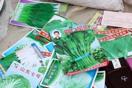 Hạt giống trôi nổi khó nảy mầm