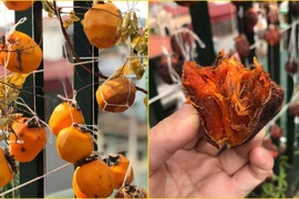 Cảnh giác với hồng sấy giá rẻ