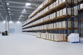 Dự kiến quy mô thị trường này đạt mốc 295 triệu USD năm 2025, tức là tăng trưởng khoảng 12% hàng năm.