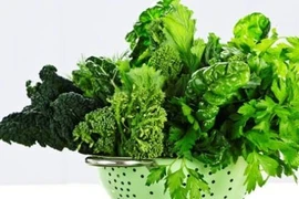 Cân bằng dinh dưỡng kết hợp thể dục thể thao