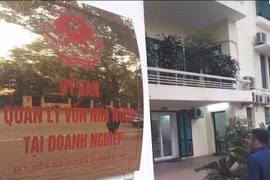 Các doanh nghiệp trực thuộc "siêu ủy ban" gặp khó trong năm 2020