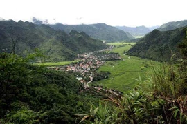 Nhận biết “địa linh” thế nào cho đúng?