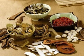 Nhân trần cao thang trị ung thư gan đau nhiều