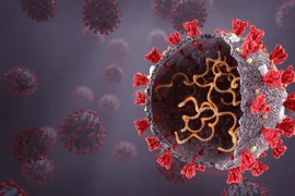 Phát hiện biến chủng mới, kết hợp giữa Omicron và Delta