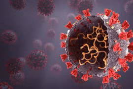 Phát hiện biến chủng mới, kết hợp giữa Omicron và Delta