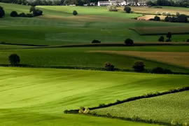 Những điều cấm cán bộ, công chức, viên chức trong lĩnh vực đất đai