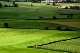 Những điều cấm cán bộ, công chức, viên chức trong lĩnh vực đất đai