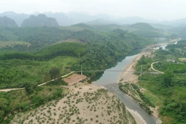 Phục hồi rừng đầu nguồn sông Gianh