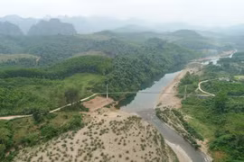 Phục hồi rừng đầu nguồn sông Gianh