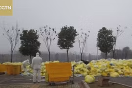 Chất thải y tế từ dịch Covid-19 ở Vũ Hán được xử lý như thế nào?