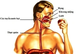  Nhiều xét nghiệm tầm soát ung thư đường tiêu hóa