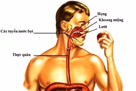  Nhiều xét nghiệm tầm soát ung thư đường tiêu hóa