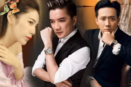 Các nghệ sĩ Việt nổi tiếng với “sao kê”.