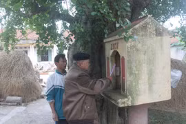 Những đồn thổi lạ về cây duối thời Lý