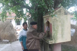 Những đồn thổi lạ về cây duối thời Lý