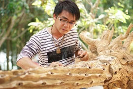 Trồng dó bầu lấy trầm hương