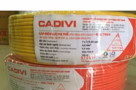 Cadivi: Tốt vay, dày nợ, thiếu tiền