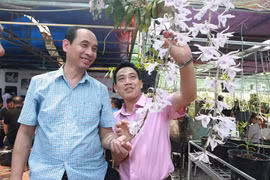 Sinh vật cảnh đang trở thành ngành kinh tế sinh thái