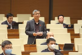 Đại biểu Quốc hội đề xuất có ngày quốc tang cho những người tử vong vì COVID-19