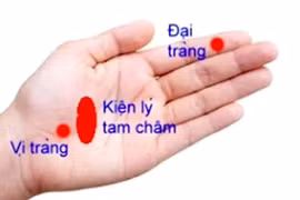  Kích thích huyệt trị liệu đau dạ dày co thắt