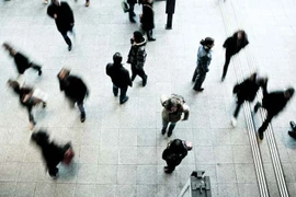 Chọn nghề và chọn bằng