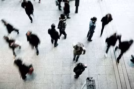 Chọn nghề và chọn bằng