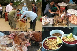 Cảnh báo dịch bệnh truyền nhiễm lây lan dịp Tết và mùa lễ hội 2019