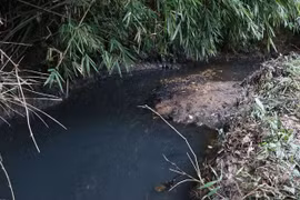 Styren hầu như không có trong dầu thải