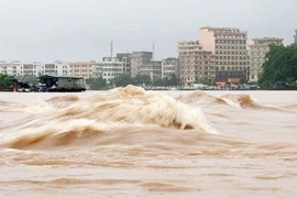 Hiện tượng nước dâng trong bão