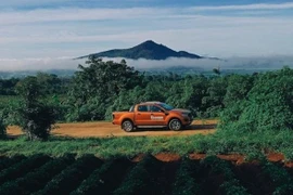 Doanh số các mẫu xe Ford tại Việt Nam tăng trưởng mạnh