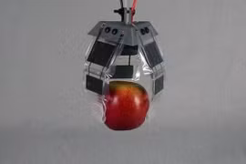 Khớp nối điện thủy lực mềm mô phỏng chân nhện cho robot