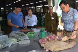 Thiết bị điện di phát hiện thực phẩm bẩn