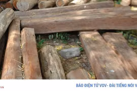 Bắt giam Trưởng ban quản lý rừng phòng hộ La Ngà