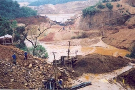 Bộ Chính trị: Một số tài nguyên bị khai thác đến cạn kiệt