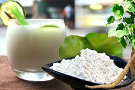 Chế “vũ khí” chống nóng từ bột sắn dây