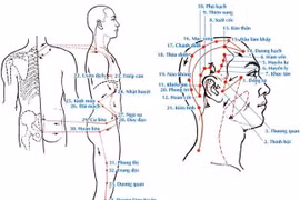 Các huyệt có tác dụng tỉnh não, an thần