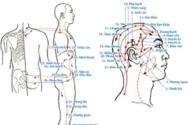 Các huyệt có tác dụng tỉnh não, an thần
